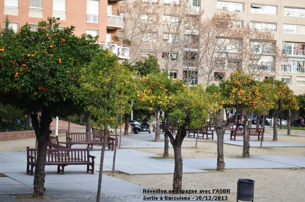 Calella Reveillon 126.JPG